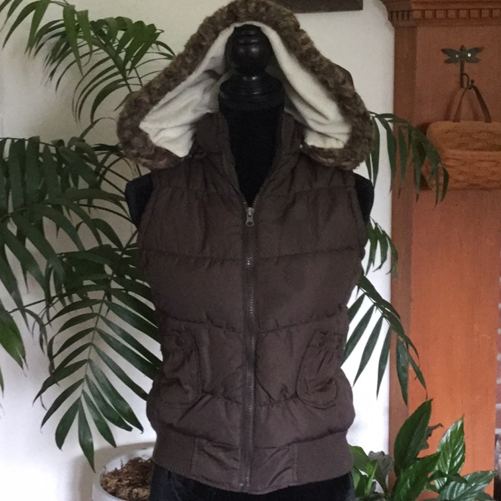 Dark Brown Vanity Winter Hooded Vest